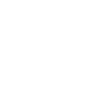 Chor Leoni Foundation logo